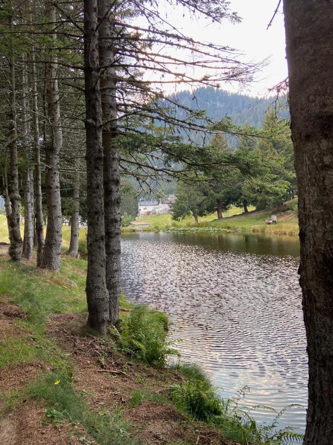 Do-Minus Boutique Home & Private Spa Ca Pedrot Mountain Cottage Monte Carasso Buitenkant foto