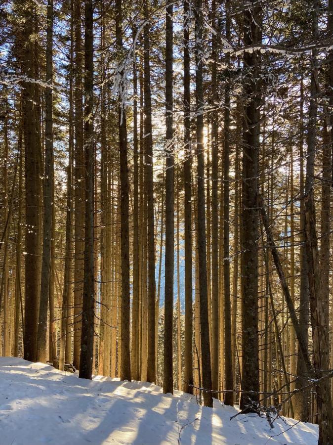Do-Minus Boutique Home & Private Spa Ca Pedrot Mountain Cottage Monte Carasso Buitenkant foto