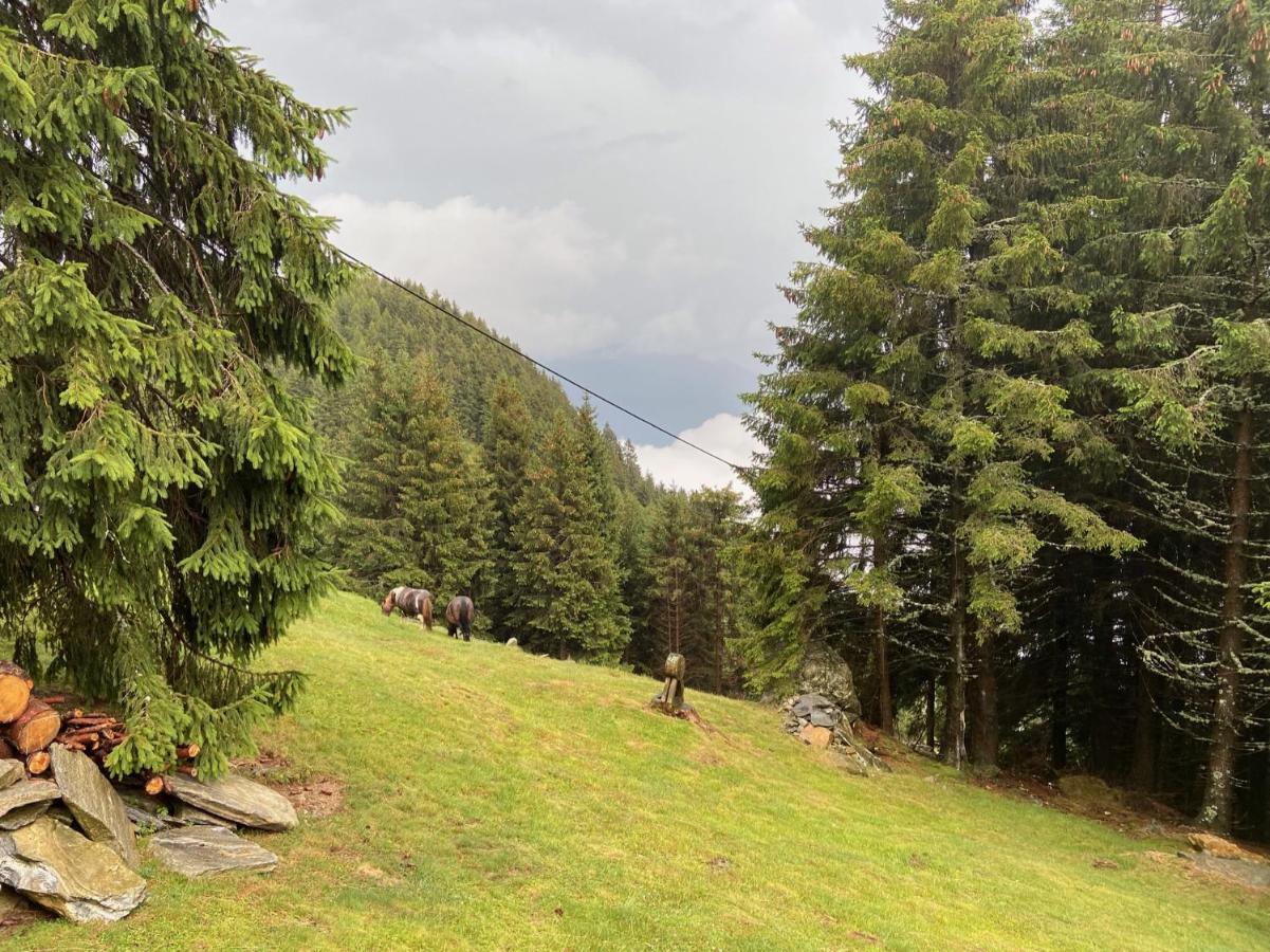 Do-Minus Boutique Home & Private Spa Ca Pedrot Mountain Cottage Monte Carasso Buitenkant foto